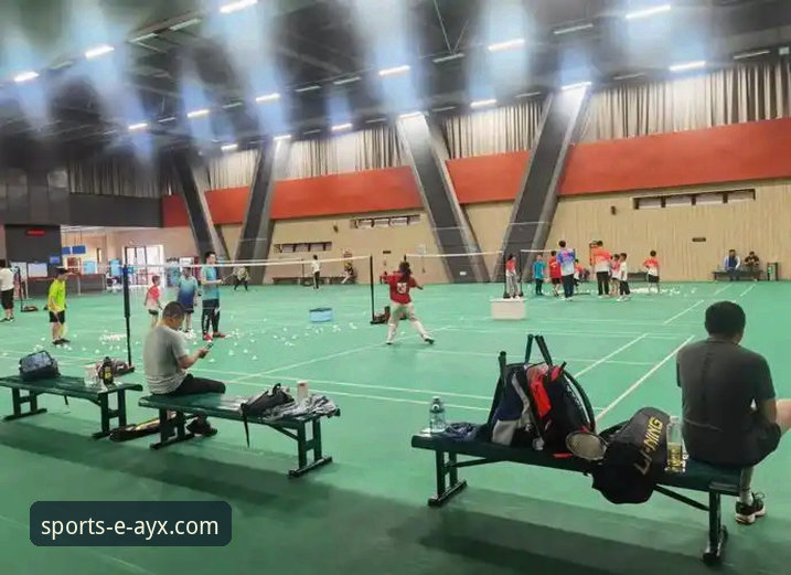 ayx体育平台入口哪个好 为什么说ayx体育平台入口哪个好是体育爱好者的新选择?